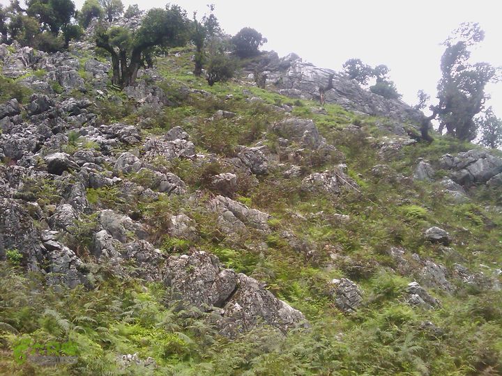 则黑毡帽山IMAG0096