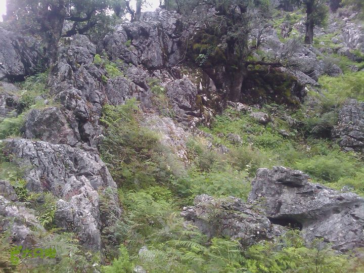 则黑毡帽山IMAG0099