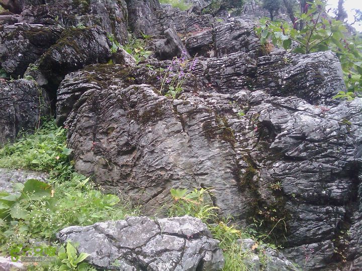 则黑毡帽山IMAG0100