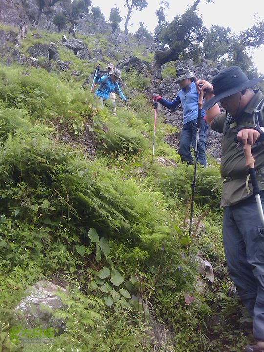则黑毡帽山IMAG0101