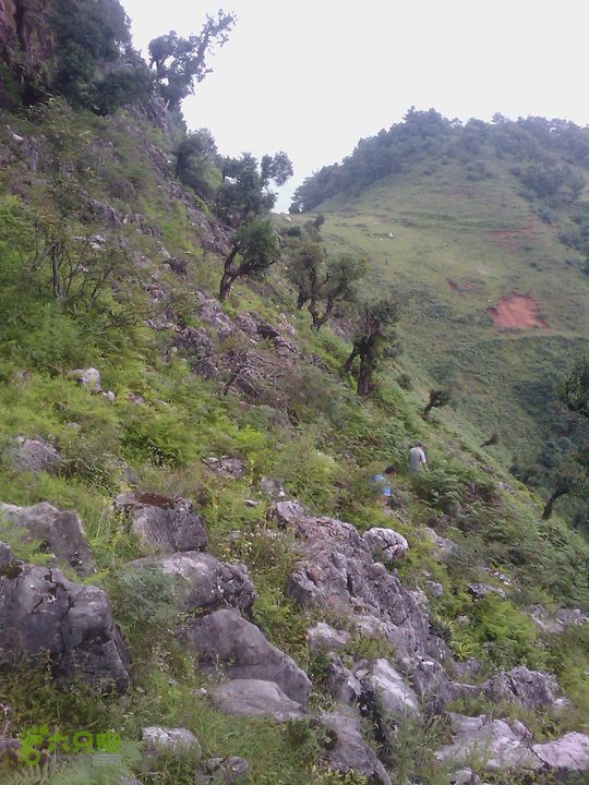 则黑毡帽山IMAG0102