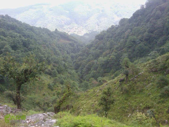 则黑毡帽山IMAG0104