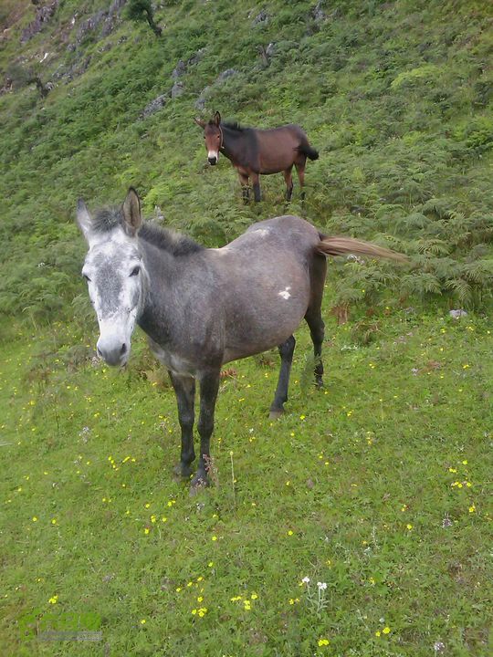 则黑毡帽山IMAG0108