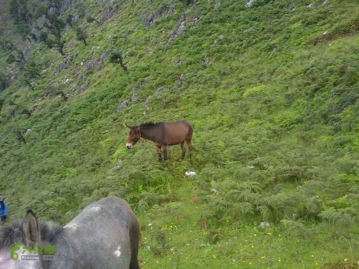 则黑毡帽山IMAG0110