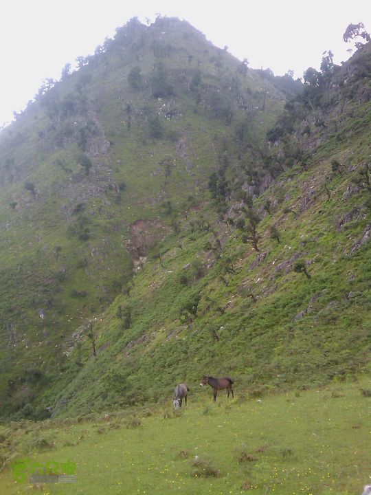 则黑毡帽山IMAG0111