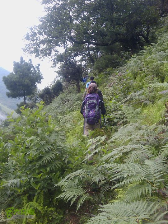 则黑毡帽山IMAG0112