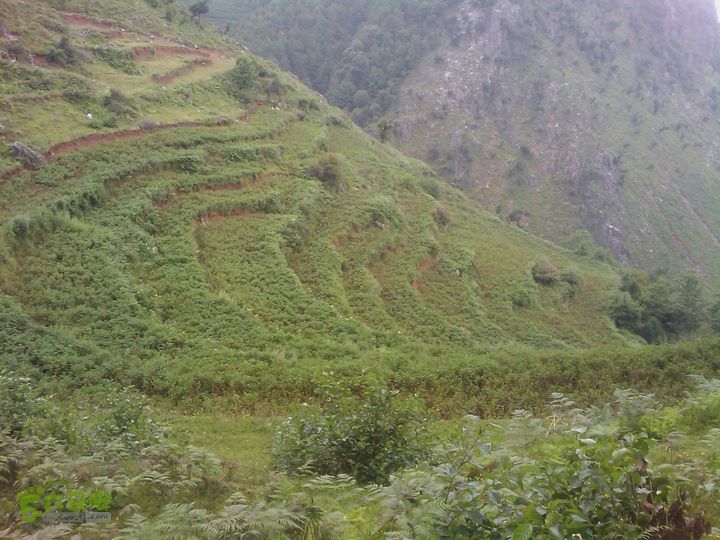 则黑毡帽山IMAG0113