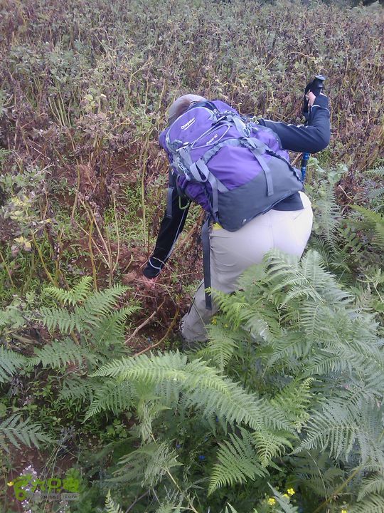 则黑毡帽山IMAG0116