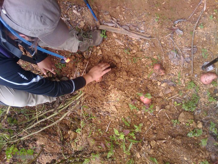 则黑毡帽山IMAG0118