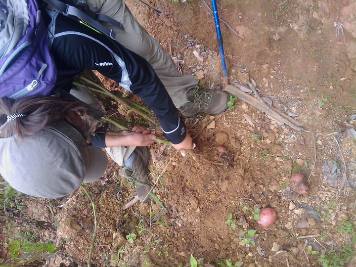 则黑毡帽山IMAG0119