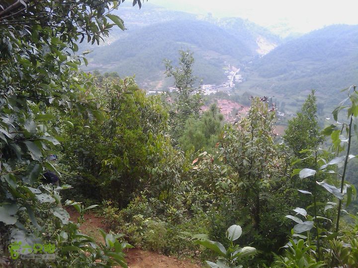 则黑毡帽山IMAG0120