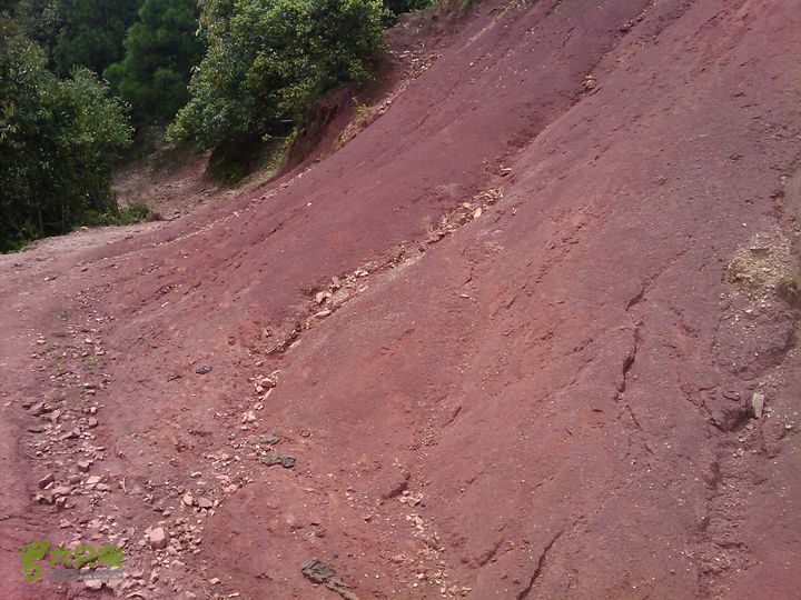 则黑毡帽山IMAG0122