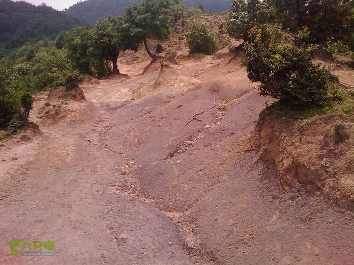 则黑毡帽山IMAG0125