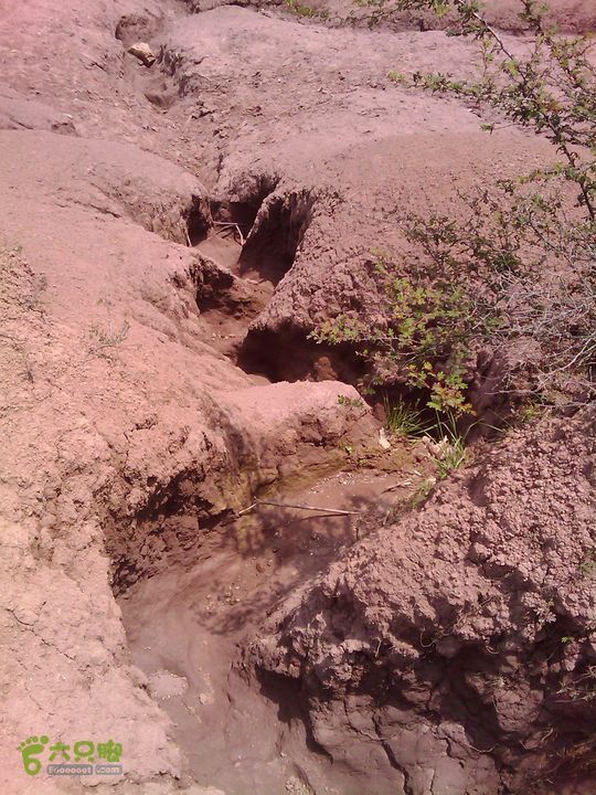 则黑毡帽山IMAG0126