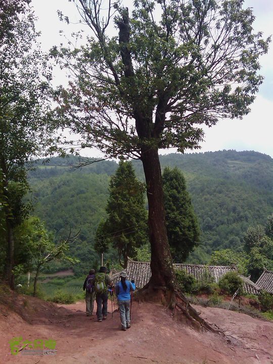 则黑毡帽山IMAG0127