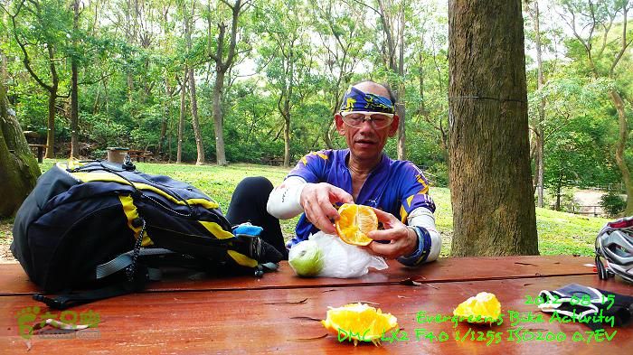 2012 08 15 欣澳、梅窩、昂平、東涌P1480622