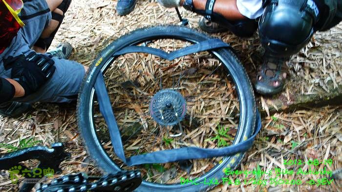 2012 08 19 烏蛟騰、荔枝窩、烏蛟騰逃兵團P1480711