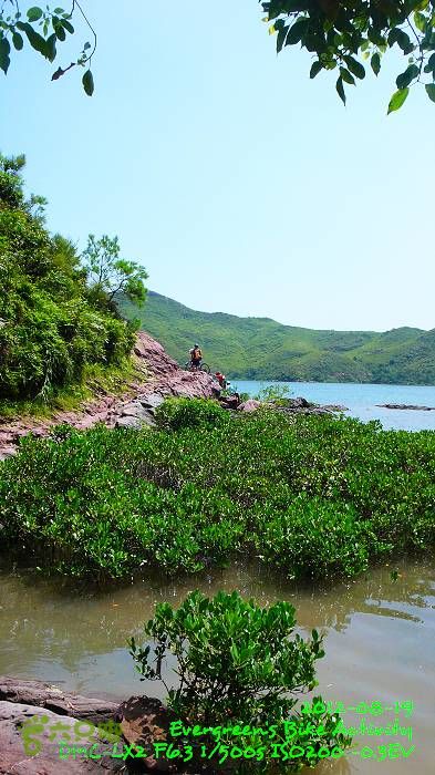 2012 08 19 烏蛟騰、荔枝窩、烏蛟騰逃兵團P1480720