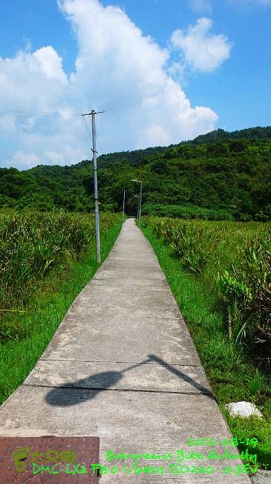 2012 08 19 烏蛟騰、荔枝窩、烏蛟騰逃兵團P1480725