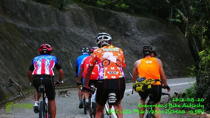2012 08 20 屯門、紅磡 - 未完成的大冷P1480798