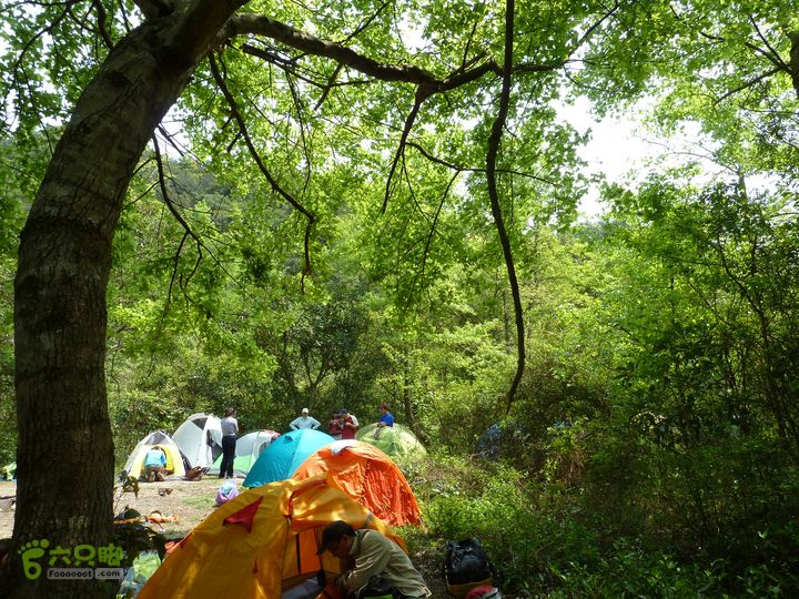 20120324_徒步_通天蜡烛P1050373