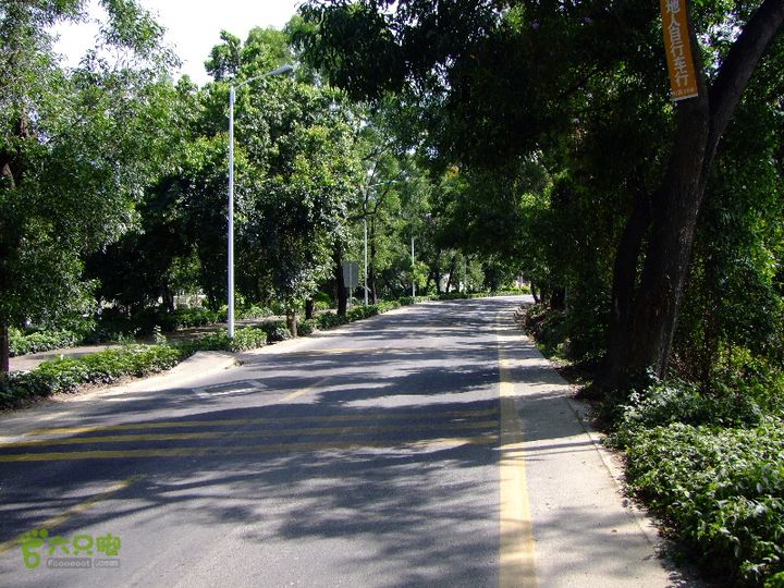 120827_淡水、坑梓聚龍山、葵涌&官湖DSCF1957