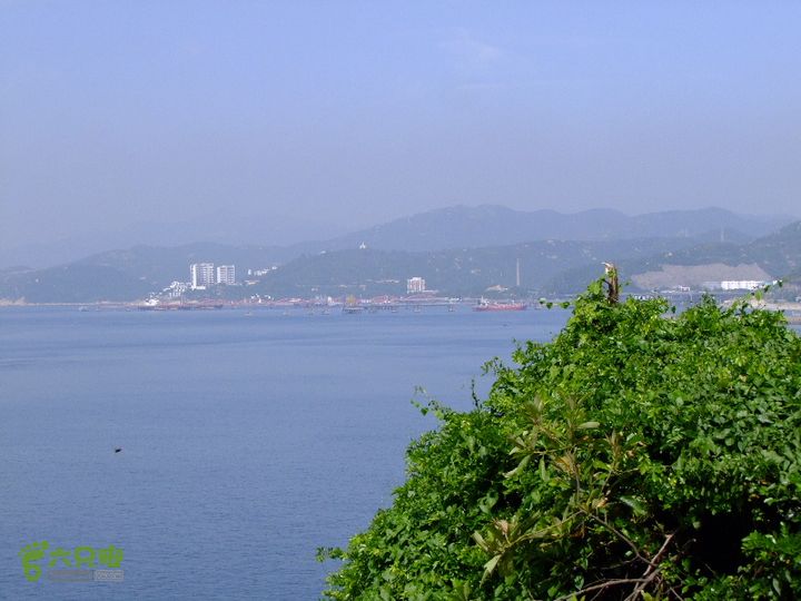120827_淡水、坑梓聚龍山、葵涌&官湖DSCF1963