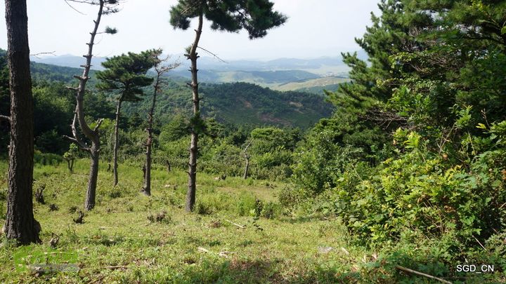 铁岭_五圣山太阳庙DSC02973