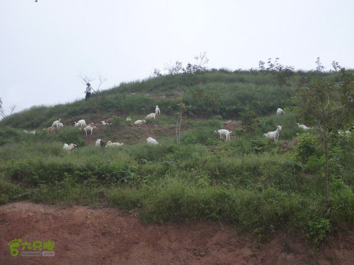 【北风户外】富阳，杏梅尖环线P1020474