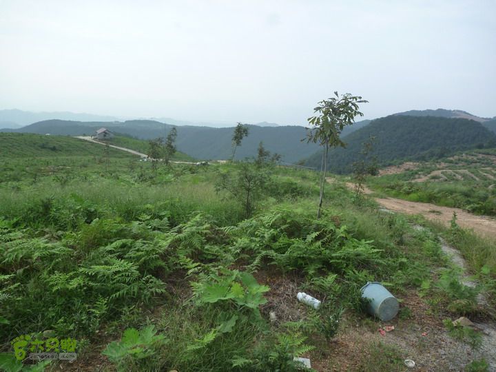 【北风户外】富阳，杏梅尖环线P1020477