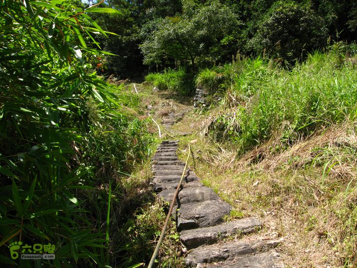 赤星村-昇山寺-叶洋-岭头-(龙潭)-森林公园南门西侧有小路上山