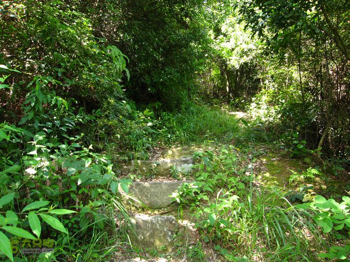 赤星村-昇山寺-叶洋-岭头-(龙潭)-森林公园南门昇山寺往上山路