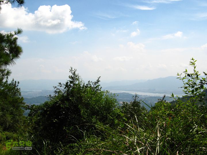 赤星村-昇山寺-叶洋-岭头-(龙潭)-森林公园南门极目可见闽江