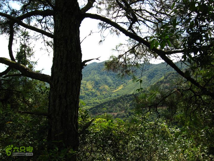赤星村-昇山寺-叶洋-岭头-(龙潭)-森林公园南门横山有毛竹