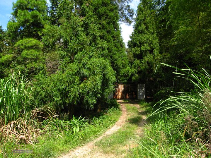 赤星村-昇山寺-叶洋-岭头-(龙潭)-森林公园南门进入微波站的路