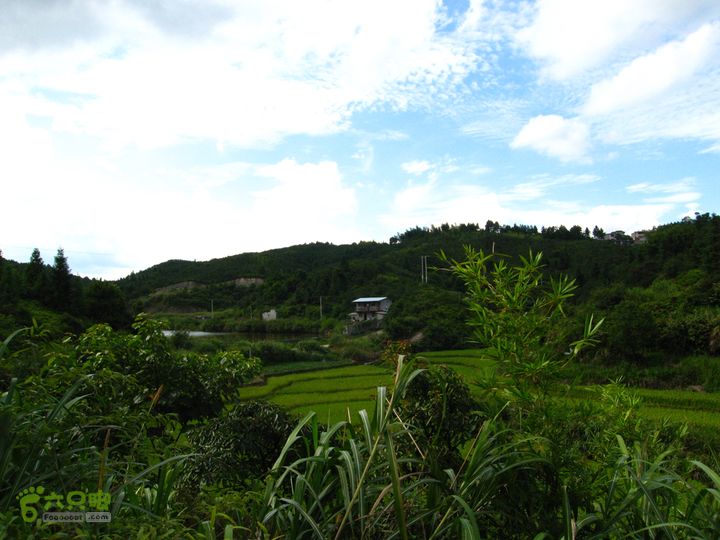 赤星村-昇山寺-叶洋-岭头-(龙潭)-森林公园南门小水塘