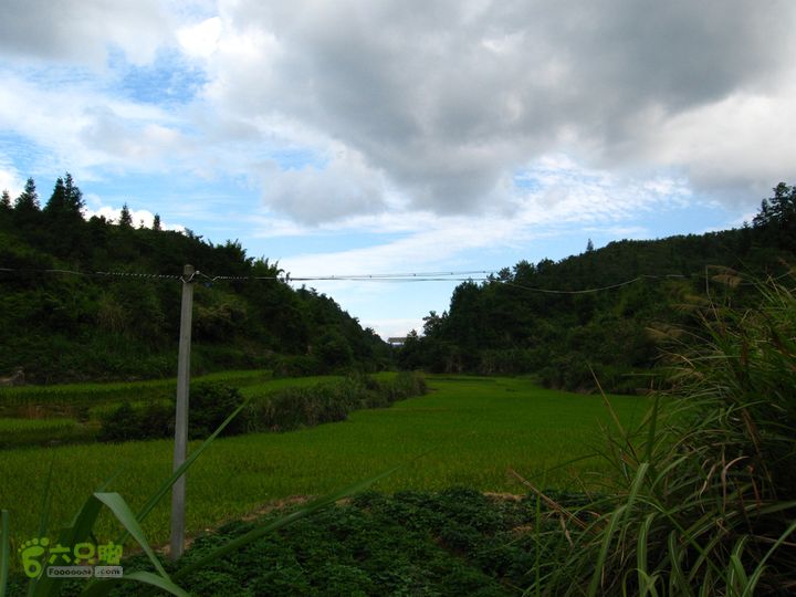 赤星村-昇山寺-叶洋-岭头-(龙潭)-森林公园南门九月底或许值得再来一趟