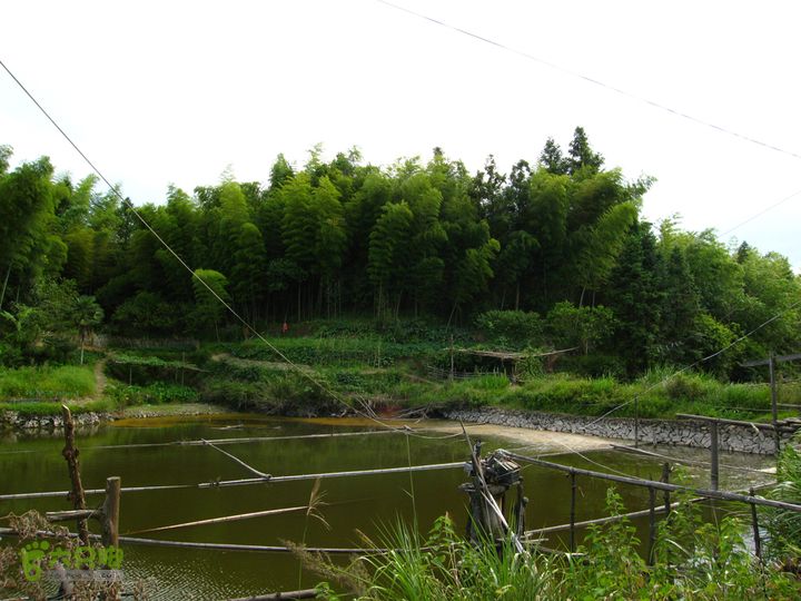 赤星村-昇山寺-叶洋-岭头-(龙潭)-森林公园南门进入村子了