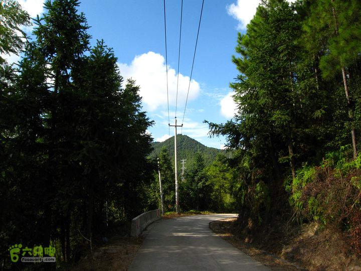 赤星村-昇山寺-叶洋-岭头-(龙潭)-森林公园南门乍看以为是鱼脊背