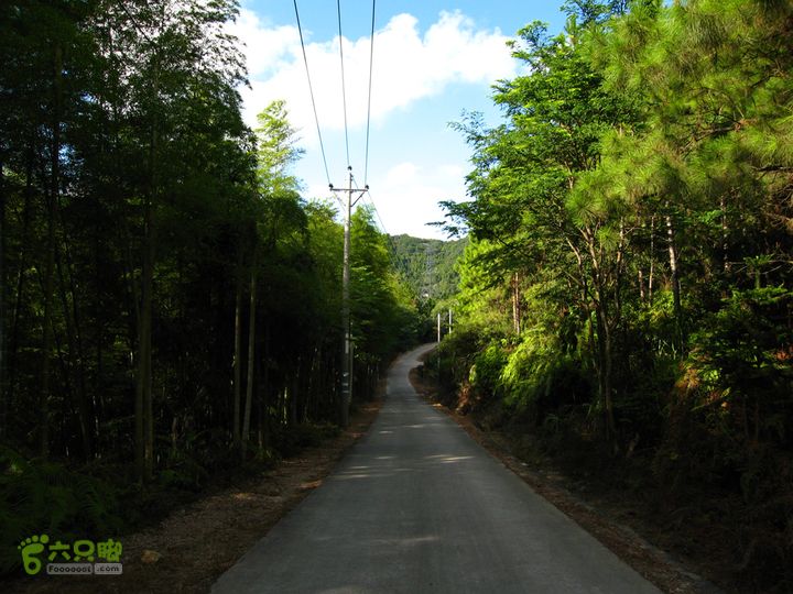 赤星村-昇山寺-叶洋-岭头-(龙潭)-森林公园南门竹林间的公路