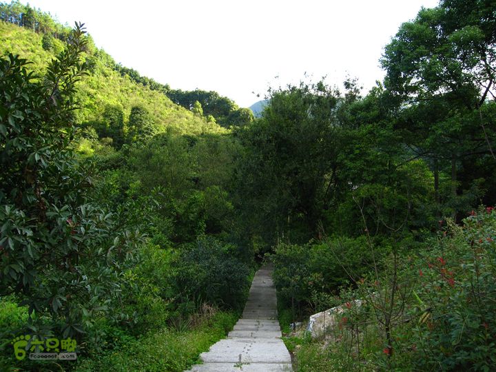 赤星村-昇山寺-叶洋-岭头-(龙潭)-森林公园南门规整的石板道