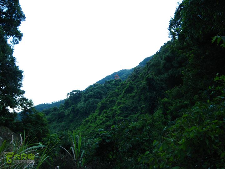 赤星村-昇山寺-叶洋-岭头-(龙潭)-森林公园南门被揽碧亭吸引，走了登山道