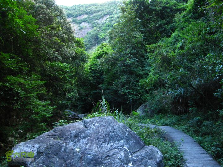 赤星村-昇山寺-叶洋-岭头-(龙潭)-森林公园南门下到谷底