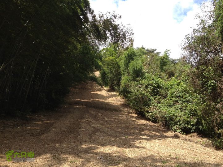 大嵩岭古道徒步20120902024 防火道