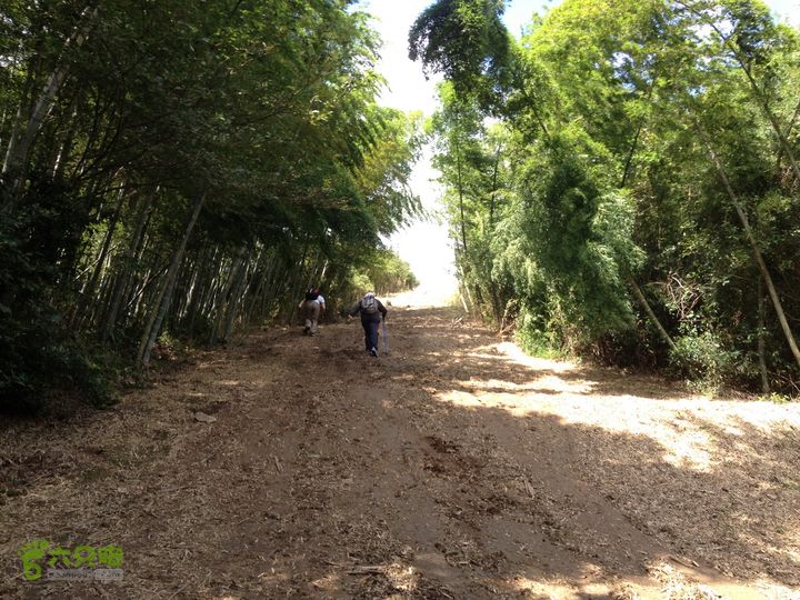 大嵩岭古道徒步20120902025 防火道