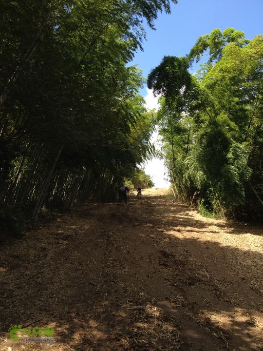 大嵩岭古道徒步20120902026 防火道