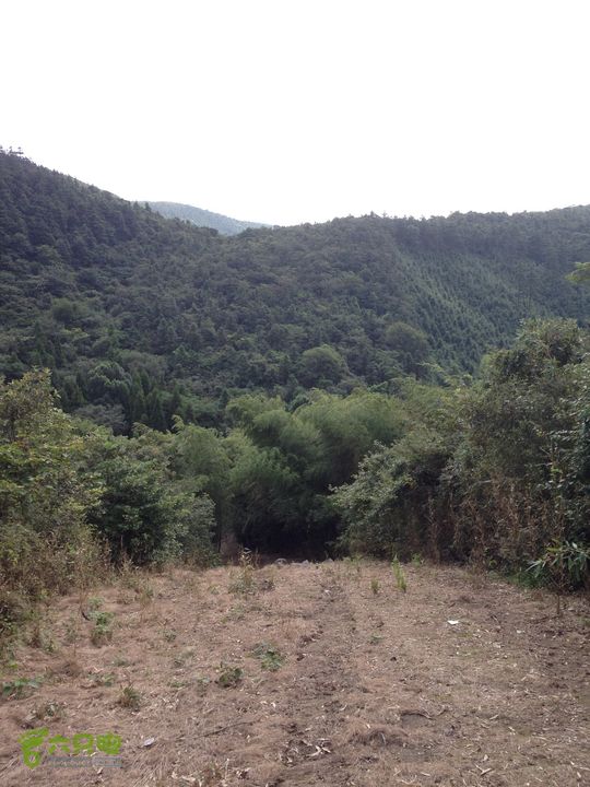 大嵩岭古道徒步20120902027 防火道