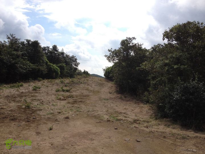 大嵩岭古道徒步20120902029 防火道