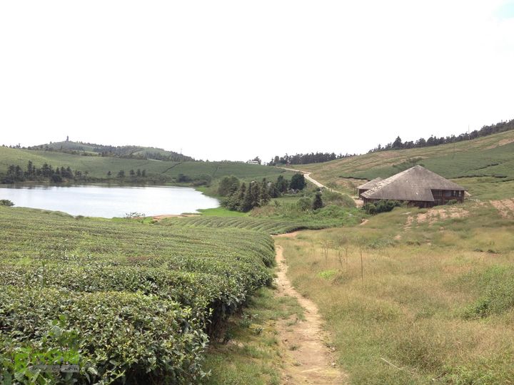 大嵩岭古道徒步20120902039 福泉山茶室