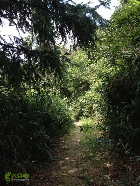 大嵩岭古道徒步20120902046 去往横街村山道